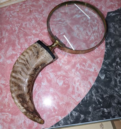 Vintage Jumbo Magnifying Glass With A Ram Horn Handle The Old House