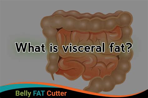 What is visceral fat? How can we eliminate it? - Belly Fat Cutter