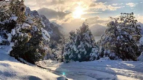 Pronostican Nieve Y Lluvias Esta Navidad En La Sierra De Sinaloa Luz