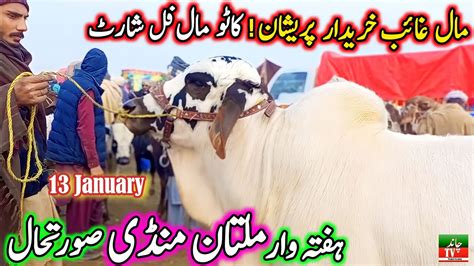 Multan Mandi Mall Shart Tha Today Saturday New Multan Cow Mandi Fresh