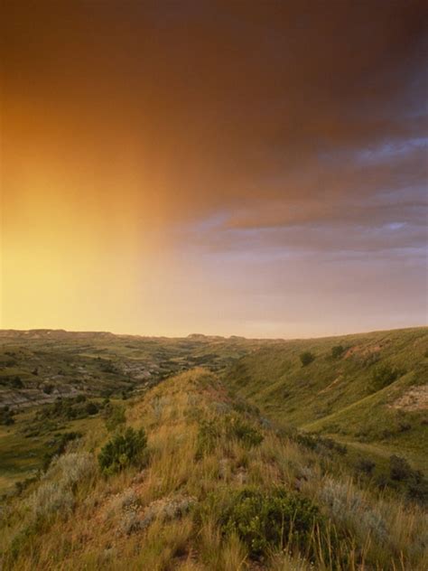 Grassland Biome Climate