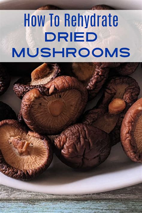 How To Rehydrate Dried Mushrooms Mama Likes To Cook