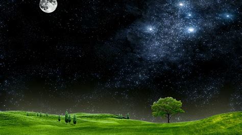 Grass Field Sky Astronomical Object Landscape Atmosphere Of Earth 1080p Moonlight Starry