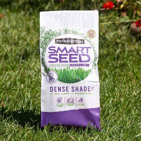 Smart Seed Dense Shade Grass Seed Pennington