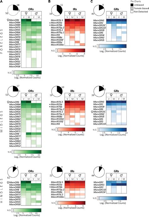 Frontiers Sex And Tissue Specific Expression Of Chemosensory