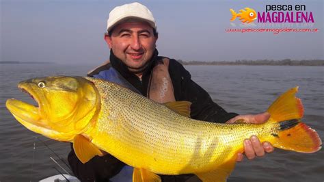 TV Nº232 12 08 2016 Pesca de dorados en Esquina Corrientes PARTE 1