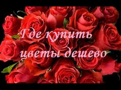 Где купить цветы дешево - YouTube