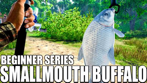 Fishing Planet Smallmouth Buffalo Hotspot Beginners Money And Xp