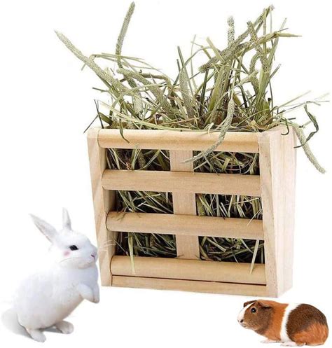 Amazon Chinchilla Hay Rack Bunny Hay Feeder Guinea Pig Hay Holder