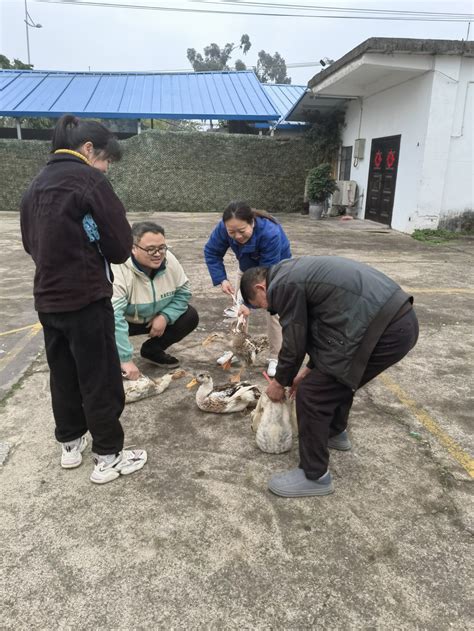 食品投资公司举办“聚力实干新征程 奋战首季开门红”元宵节游园活动广西柳工集团食品投资有限公司