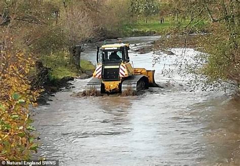 Should This Farmer Really Have Been Sent To Jail For Damaging A