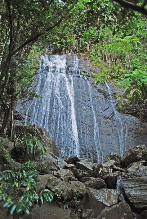 Annadale falls stock image. Image of water, chute, grenada - 93178775