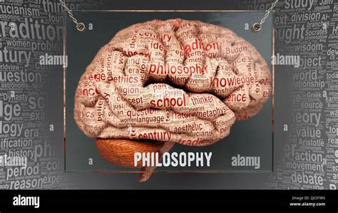 Philosophy In Human Brain Dozens Of Important Terms Describing