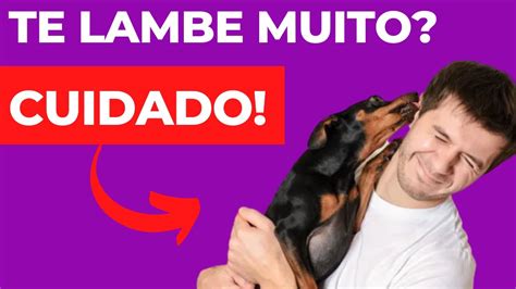 NÃO DEIXE PORQUE MEU CACHORRO ME LAMBE TANTO CACHORRO ME LAMBE MUITO