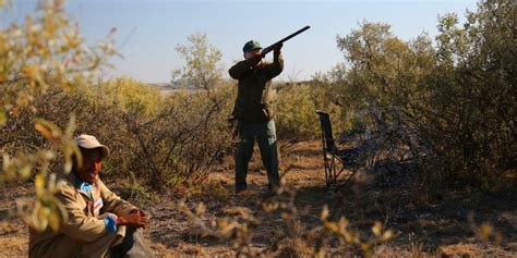 Bird Shooting Rovos Rails South Africa