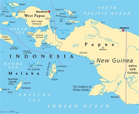 A Short History of West Papua – WEST PAPUA