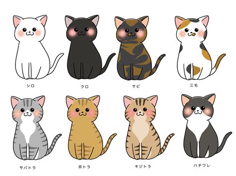 猫のいる暮らし（外猫） みどり怪獣 ヨッシーブログ