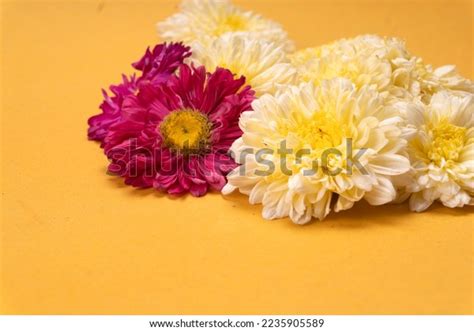 Flower Rangoli Diwali Pongal Made Using Stock Photo 2235905589 | Shutterstock