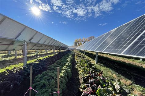 This Colorado Solar Garden Is A Farm Under Solar Panels Npr