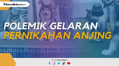 Dinas Kebudayaan DIY Tolak Gelaran Pernikahan Anjing Di PIK Singgung