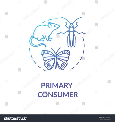 primary consumer animal list 9