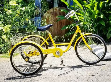 3 Best Tricycle For Adults That Will Blow You Away | #1 Adult Tricycle