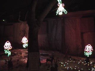 Calgary Zoo Christmas Wild Lights FREE Electronic Greeting Cards - Post Cards.