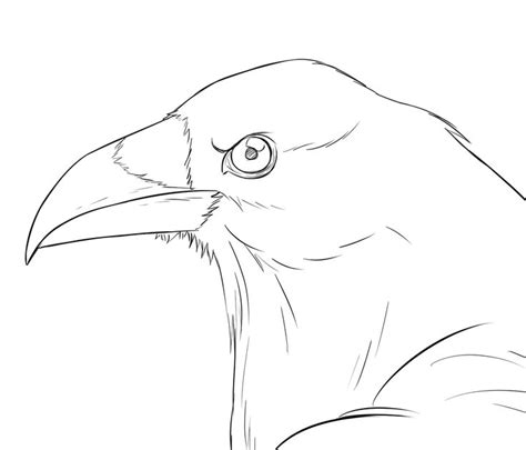 Comment Dessiner Un Corbeau En Corbeau Dessin Art De Corbeau