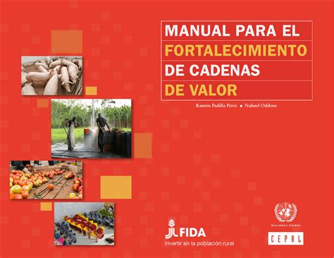 Manual Para El Fortalecimiento De Cadenas De Valor