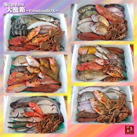 【楽天市場】【送料無料】厳選 日本海の鮮魚セット「海におまかせ・大漁箱 プレミアムbox」 大満足詰め合わせ：日本海の幸 新潟・魚水島