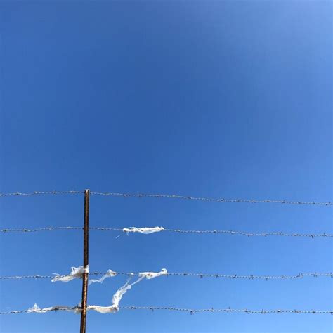 Premium Photo Low Angle View Of Barbed Wire Against Clear Blue Sky