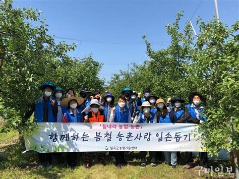 칠곡군농업기술센터 봄철 농촌사랑 일손돕기 실시