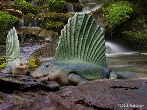 Dimetrodon by Carnosaur on DeviantArt