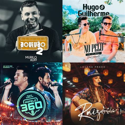 Melhores Faculdades De Medicina Veterinaria Do Brasil