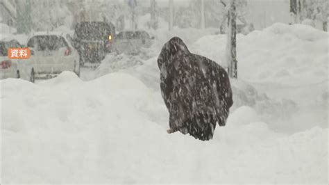 「カメムシが多い年の冬は大雪」説は本当か？ 今年大量発生の目撃情報相次ぐ専門家の見解は？ Tbs News Dig 2ページ