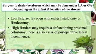 Anorectal abscess | PPT