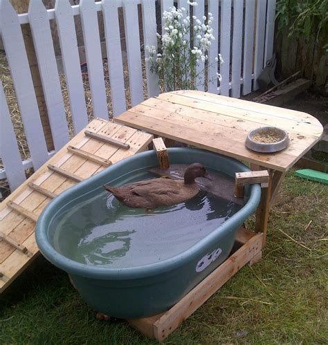 Duck Deck Backyard Duck Habitat With Pictures Instructables