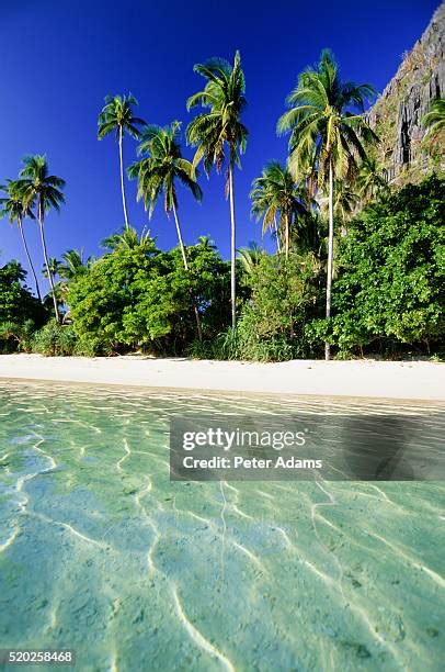 695 Palawan Culture Stock Photos, High-Res Pictures, and Images - Getty ...