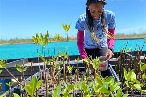 Conserving And Protecting The Caribbean Biodiversity Hotspot Blog