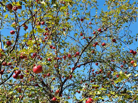 Midweek October Getaways – Fall in Door County, Wisconsin – 2022 | Door
