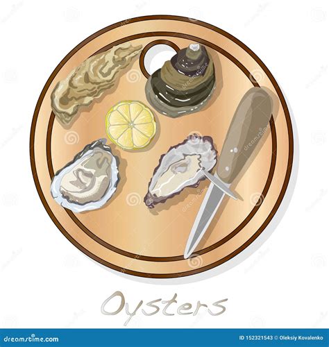 Fresh Opened Oyster Vectorv Images Set On Plate Dish Isolated On White Background Stock Vector