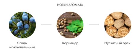 Выбор недели: вино Appassionante Rosso и джин South Bank