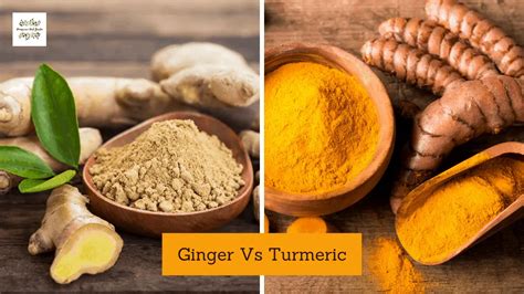 Ginger Vs Turmeric Differences In The Kitchen Homegrown Herb Garden