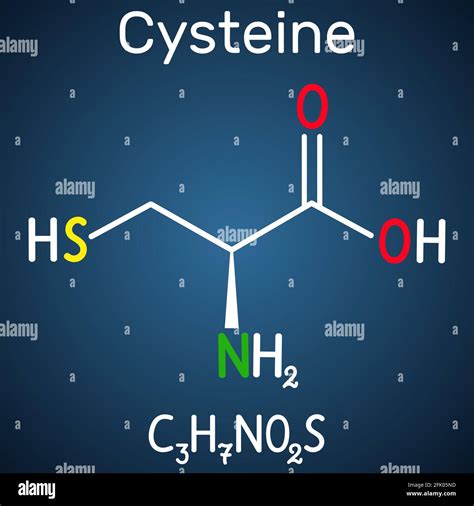 Cysteine Structure