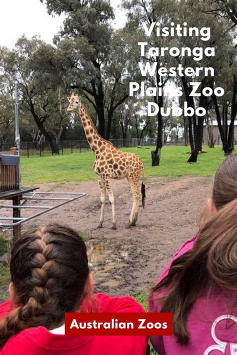 Visiting Taronga Western Plains Zoo Dubbo The Kid Bucket List