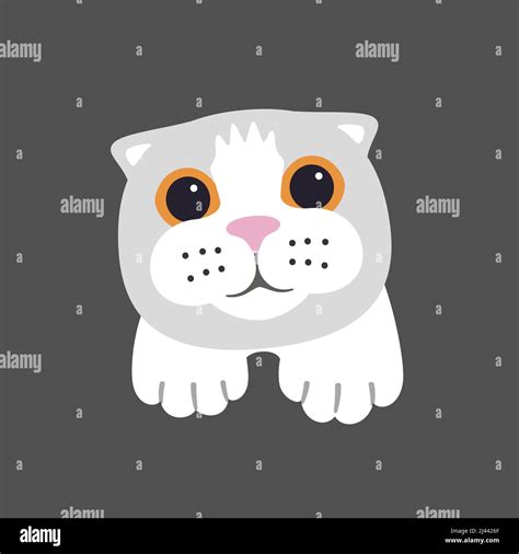 Scottish Fold Cat Face Flat Icon Design Vector Illustration Stock