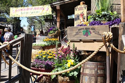 Knotts Berry Farm Boysenberry Festival A Socal Spring Tradition