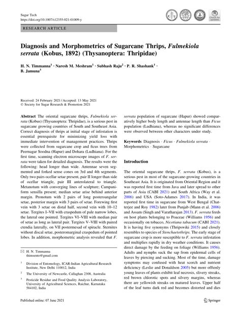 Pdf Diagnosis And Morphometrics Of Sugarcane Thrips Fulmekiola