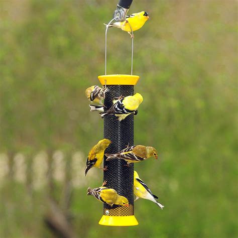 Finch Bird Seed Feeders