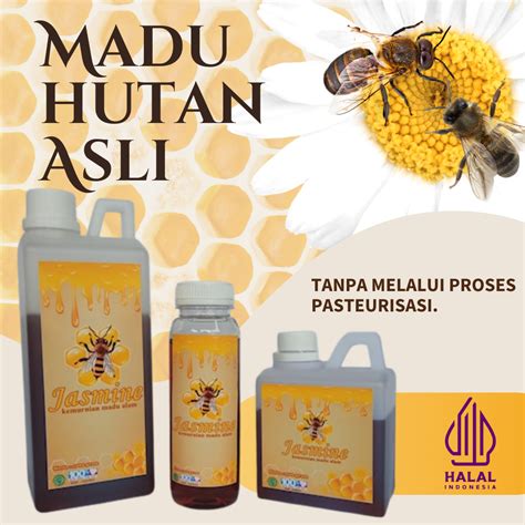 Jual Madu Asli Madu Murni Hutan 1kg Asli Murni 100 Madu Jasmine